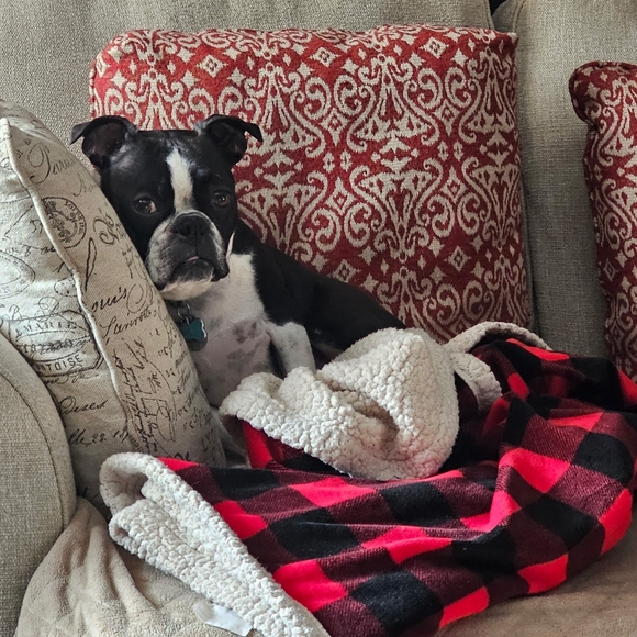 Meet your Posher, Tiff - Picture 3 of 15